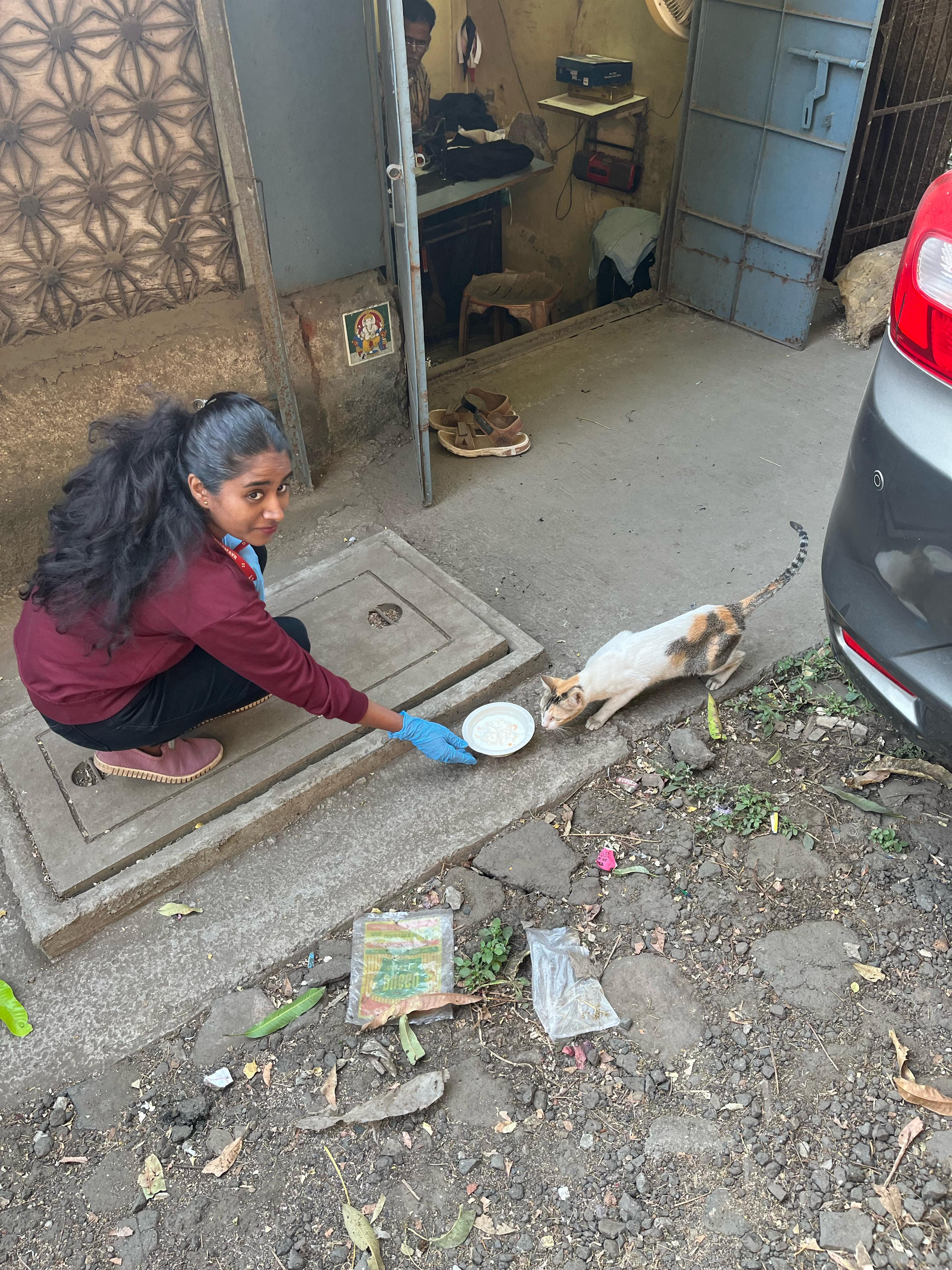 Why This Matters Image